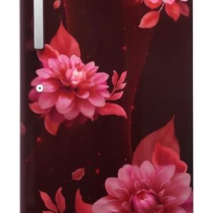 LLOYD-GLDC203SLWS2LC – 203 L Single Door Refrigerator