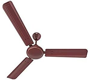 Buy REO Utsav 1200mm Ceiling Fan (Brown) Online at Low Prices in India